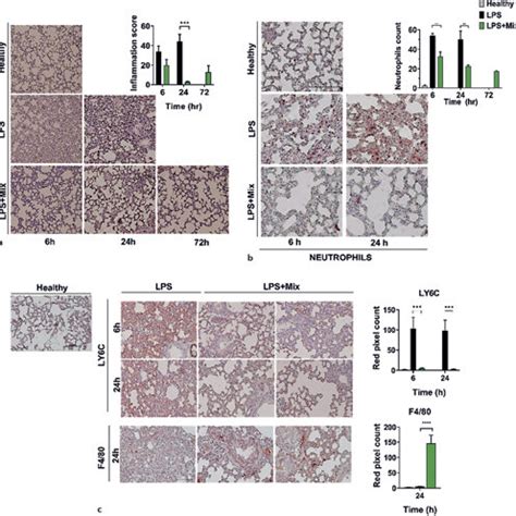 Tryptophol Acetate And Tyrosol Acetate Prevent Inflammation Associated