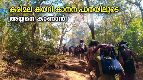 Sabarimala Traditional Forest Path Erumeli Azhutha Karimala Pamba