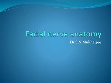 Facial Nerve Anatomy 1 Ppt