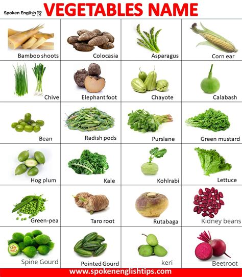 Vegetables Name List Of Vegetable Name In English With Picture