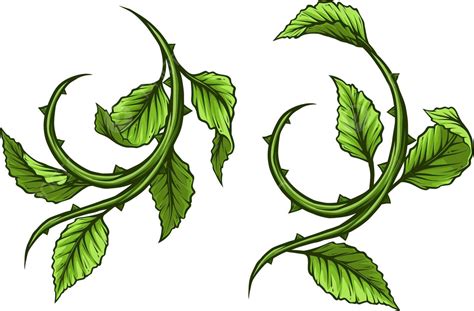 Green Flower Stem Clipart Best Flower Site