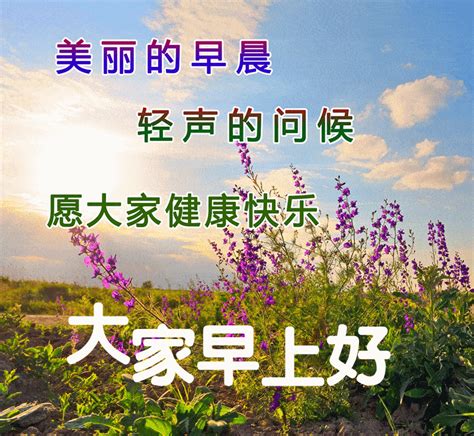 2022最美的早上好祝福图片，祝你今天好心情，工作顺利，生活甜美 阳光为 人生 开心