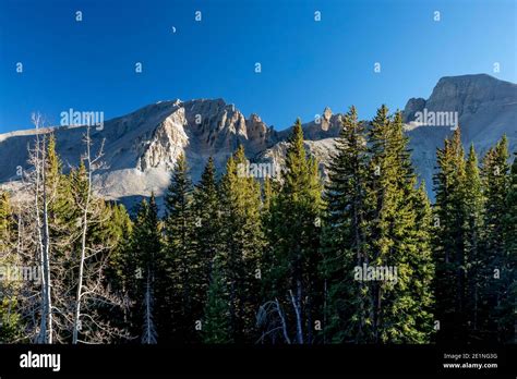 View of Wheeler Peak from Wheeler Peak Summit Trail in Great Basin National Park, Nevada, USA ...