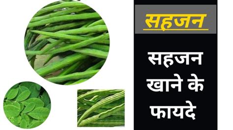 सहजन के फायदे और नुकसान Drumstick Benefits