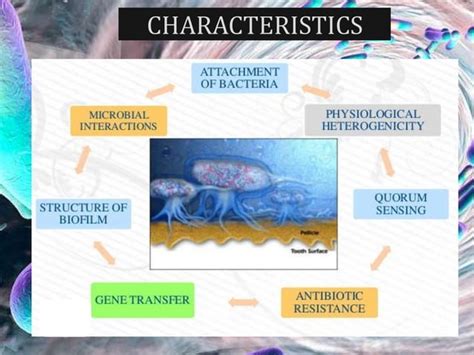 Biofilms | PPT | Free Download