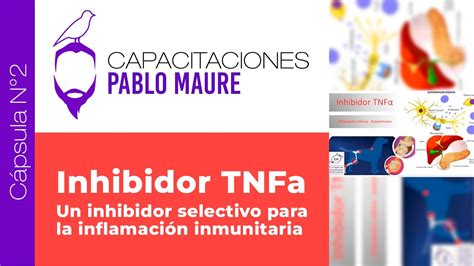 Cápsula N2 Inhibidor del Factor de Necrosis Tumoral Por Pablo