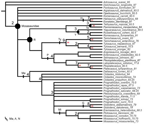 Inferring Weak Spots In Phylogenetic Trees Application To