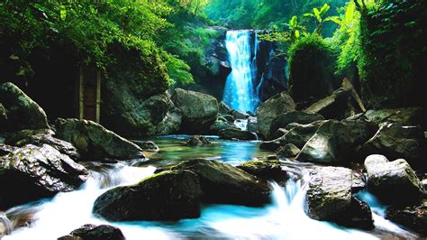 🥇 Green forest waterfall wallpaper | (133583)