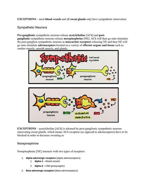 Solution Agents And Actions Of The Autonomic Nervous System