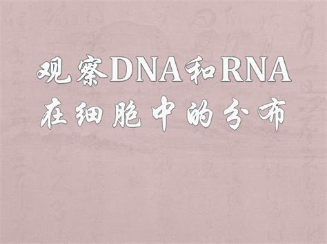 观察细胞内dna和rna的分布 Word文档在线阅读与下载 免费文档