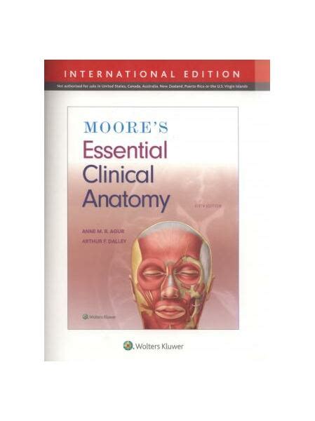 Moore S Essential Clinical Anatomy PDF Autor Arthur F Dalley Anne M