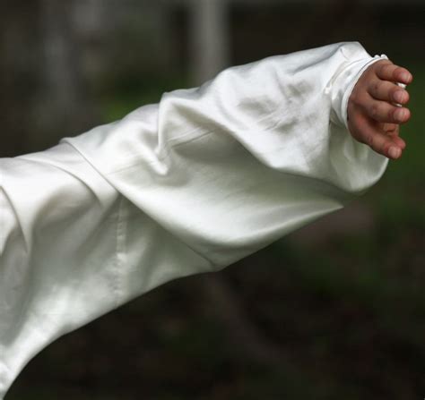 The Beauty Of Tai Chi Hand Gestures