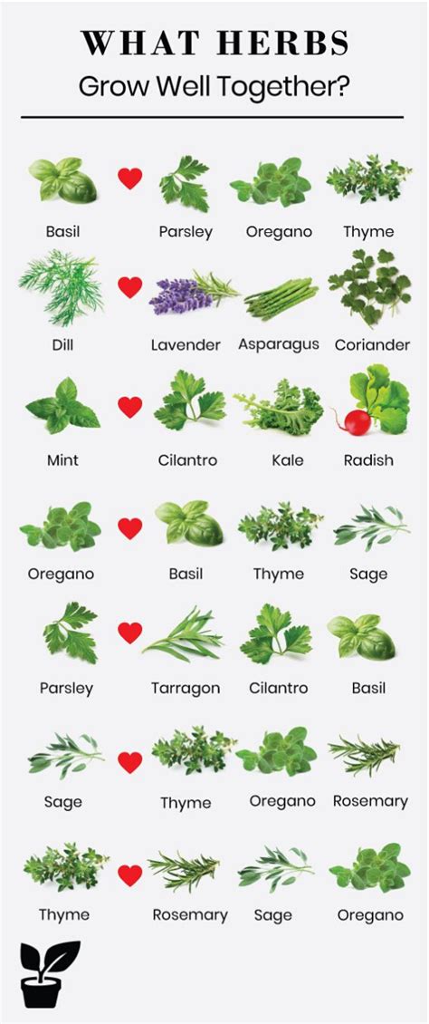 Printable Herb Companion Planting Chart