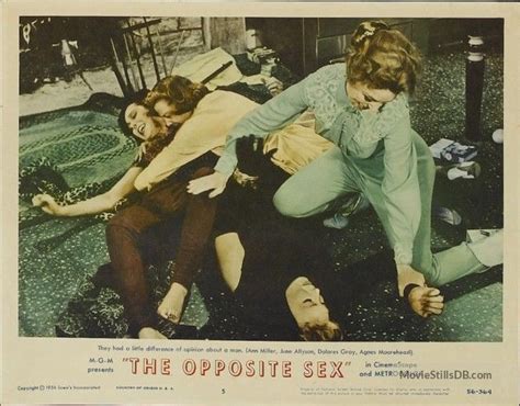 THE OPPOSITE SEX