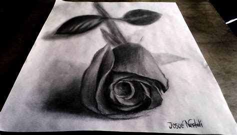 Los mejores dibujos de rosas a lapiz - Imagui