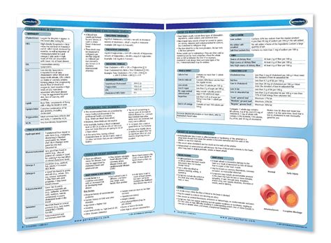 Cholesterol Guide - 4-page Laminated 8.5" x 11" Quick Reference Chart