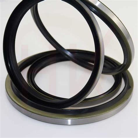 Dkbi Dkb Hydraulic Cylinder Nbr Metal Dust Oil Seals Wiper Seals