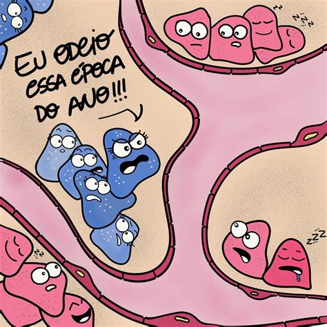 Onde é Produzido A Insulina