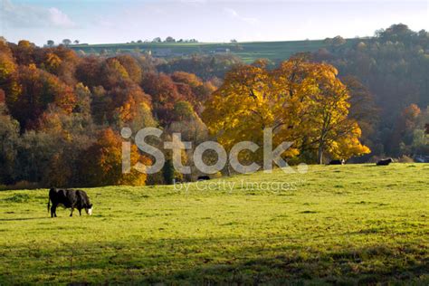 Scenic Cotswolds - Autumn Colour Stock Photo | Royalty-Free | FreeImages