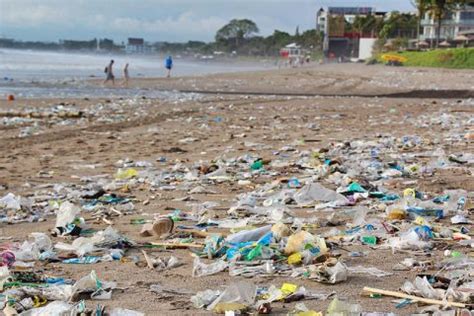 Beach Pollution: Causes and Effects (and Prevention!)