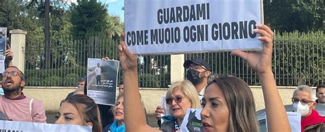 Mahsa Amini E Hadis Najafi Uccise Per I Capelli Scoperti La Protesta