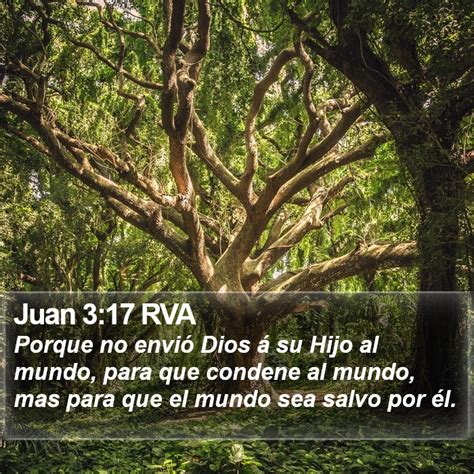 Juan 3 17 Rva Porque No Envió Dios á Su Hijo Al Mundo Para