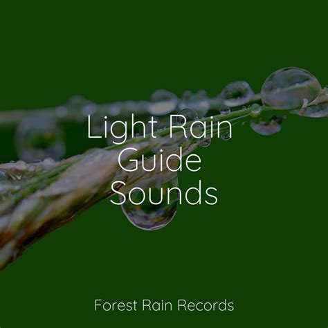 Light Rain Guide Sounds Album By Rain Makers Spotify