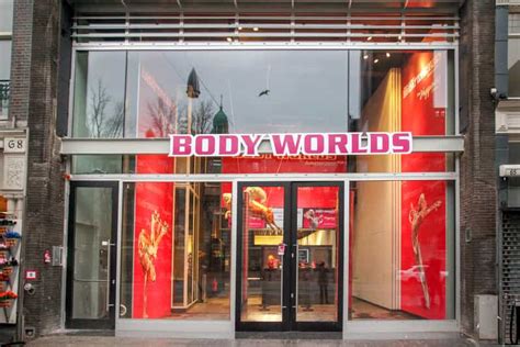 Amsterdam Entr E Pour Body Worlds The Happiness Project Getyourguide