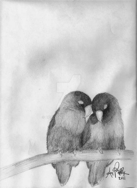 Pencil Drawings Love Birds - pencildrawing2019