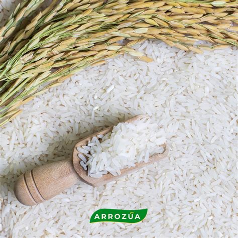 5 Beneficios Del Arroz Para Tu Salud El Blog Del Arroz