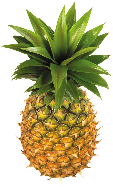 Pineapple Fruit PNG Clipart - Best WEB Clipart