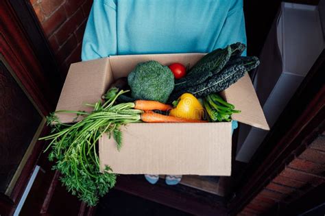 Home Fresh Food Delivery. Woman Holding Cardboard Box with Vegetables ...