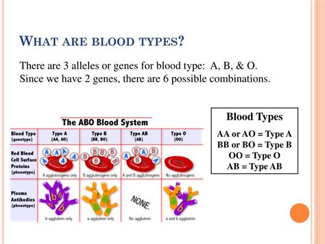 PPT - ABO BLOOD GROUPNG & Rh GROUPS PowerPoint Presentation, free ...