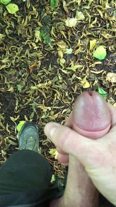 Wanking My Hairy Cock In The Woods And Spunking Gay Amateur Porn Feat Red Rock XHamster