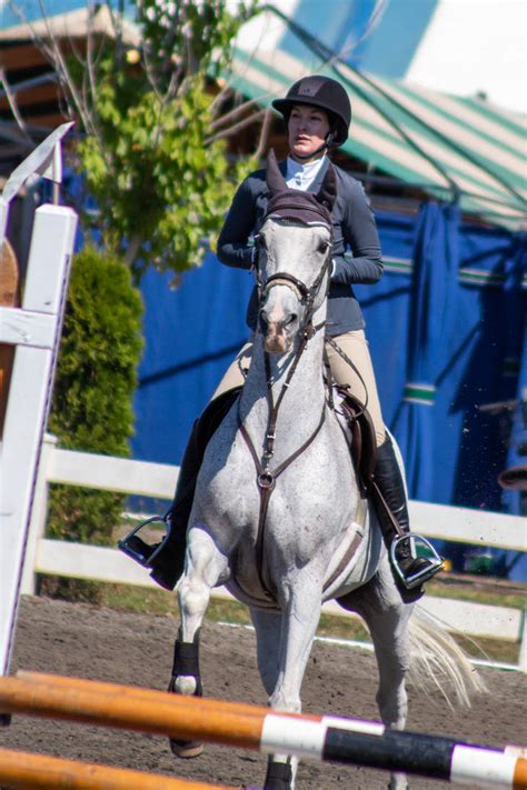 Gray Horse Jumping Stock by JNH-Equine on DeviantArt