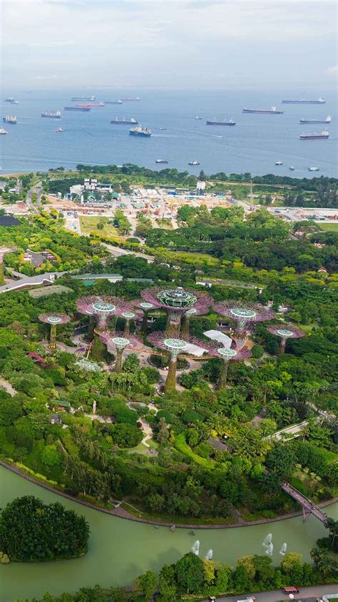 Guide to Gardens by the Bay Singapore | Marina Bay Sands