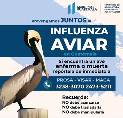 Programa Nacional De Sanidad Av Cola Prosa Viceministerio De Sanidad