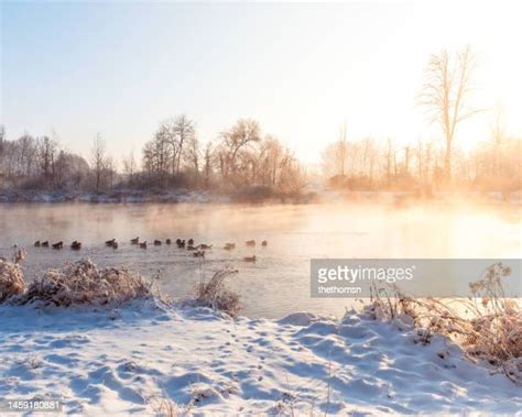 Augsburg Winter Photos And Premium High Res Pictures Getty Images