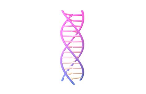 Triple Helix Dna V D Model Cgtrader