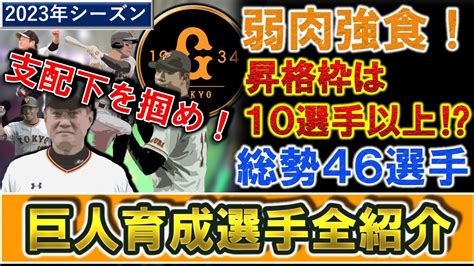 【巨人育成選手全紹介】総勢46名の育成選手の中から支配下昇格10枠以上のサバイバル！2023年度の巨人の育成選手を全選手チェック