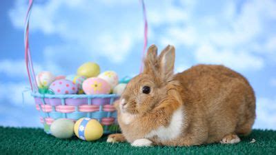 easter origin history  facts  britannica