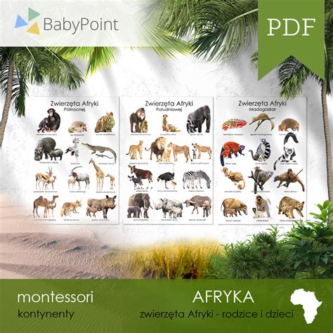 Zwierzęta Afryki - Plakaty edukacyjne do wydruku