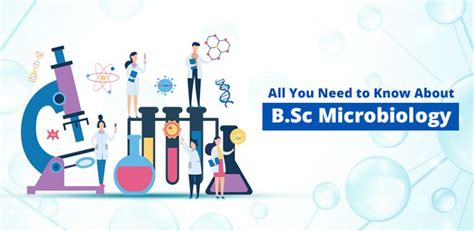 B Sc Microbiology Course Eligibility And Career Sandip University