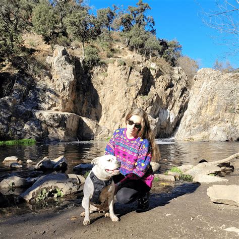 Se Permiten Perros En Los Puentes Naturales