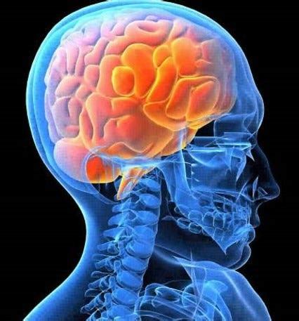 A Billion Years Of Sex Differences