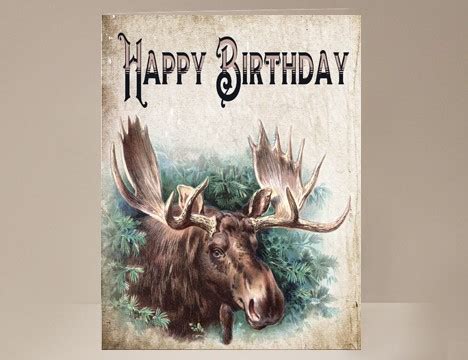 Moose Birthday Card | Yesterday's Best