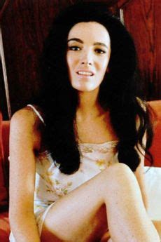 Watch Free Linda Cristal Porn Videos On Tnaflix Free XXX Tube