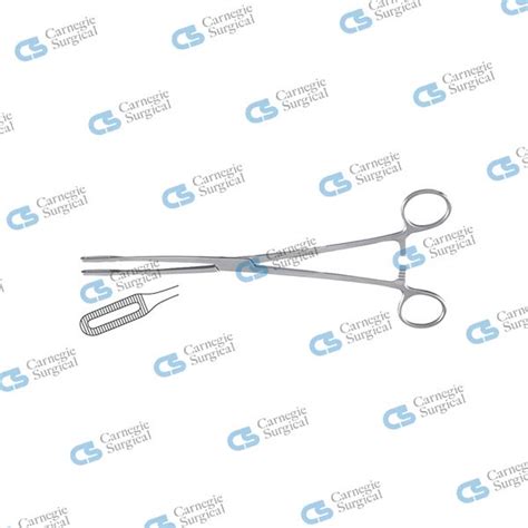 Fletcher Javerts Sponge Holding Forceps Carnegie Surgical Llc