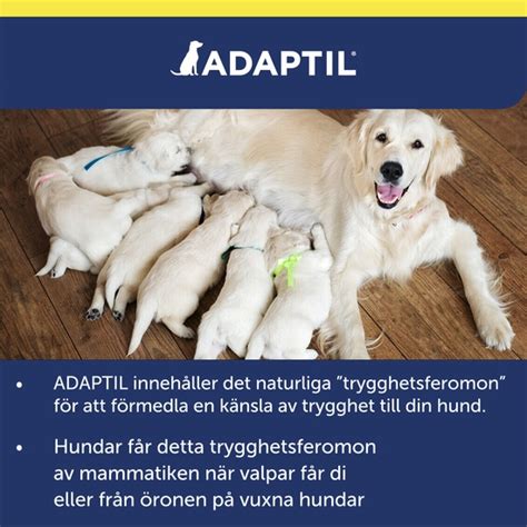 Köp Adaptil Transport Spray 20 ml på MEDS se