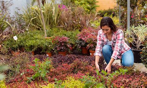 Des astuces incontournables pour prévenir les mauvaises herbes dans